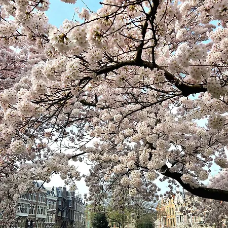 Residenz Stadslogement Hotel 3*