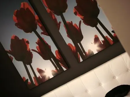 Residenz Stadslogement 3* Den Haag